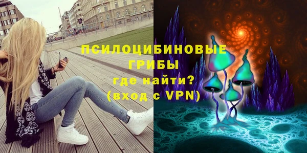 mdpv Коряжма