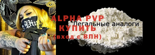 стафф Корсаков